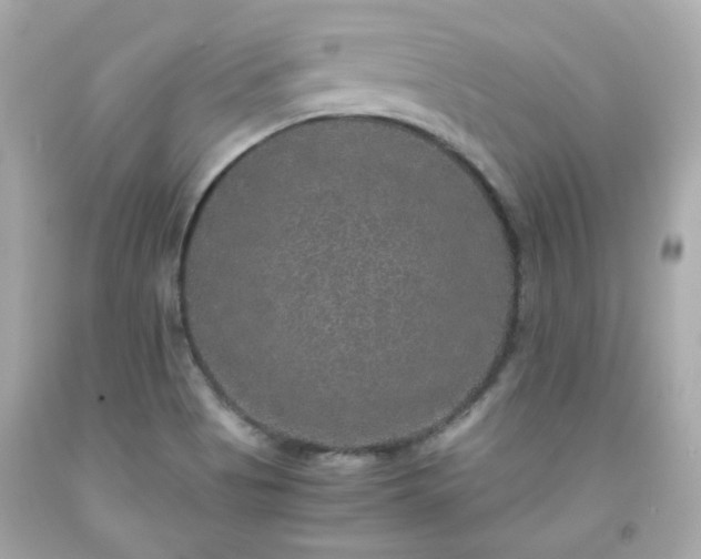 X0000091941513200709121609