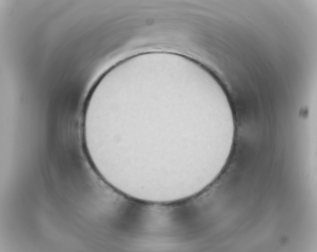 X0000091941514200709121609