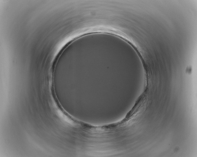 X0000091941515200709121609