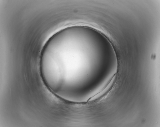 X0000091941518200709121609