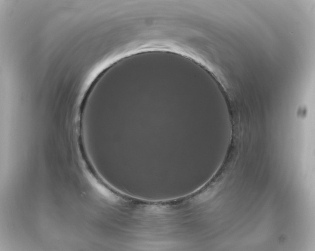 X0000091941519200709121609