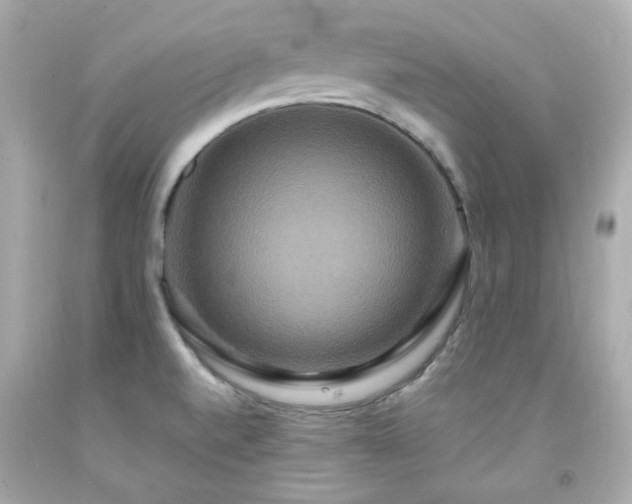 X0000091941520200709121609