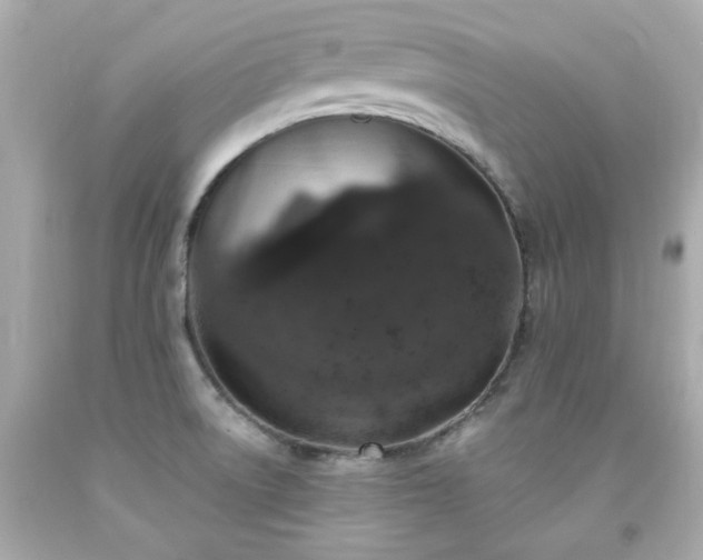 X0000091941522200709121609