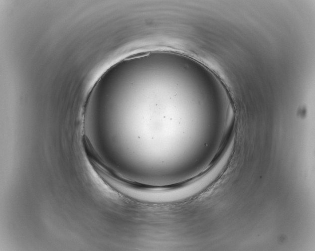 X0000091941524200709121609