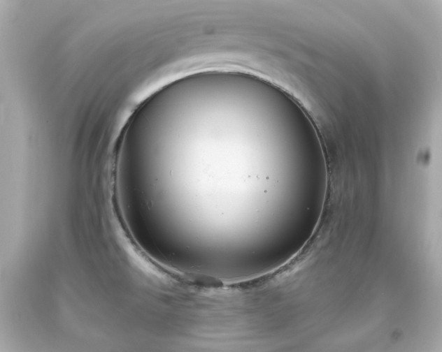 X0000091941526200709121609