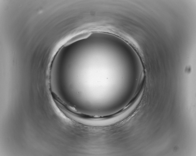 X0000091941528200709121609