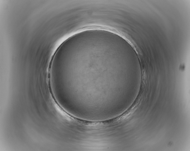 X0000091941535200709121609