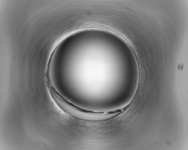 X0000091941536200709121609