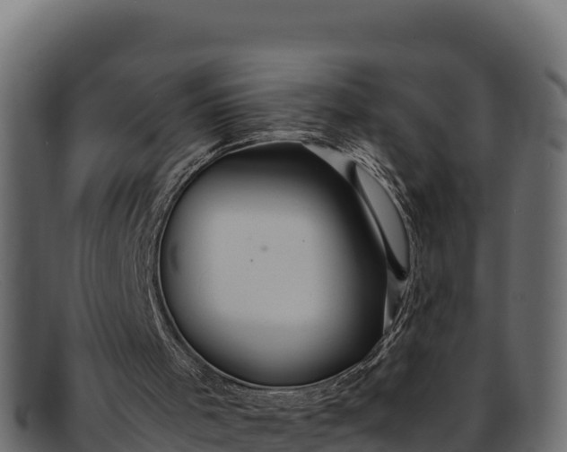 X0000091940001200709191429