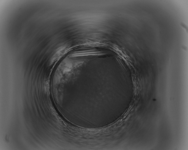 X0000091940002200709191429