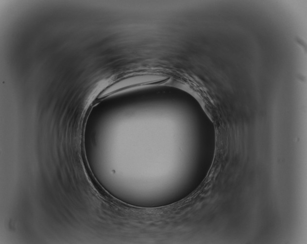 X0000091940003200709191429