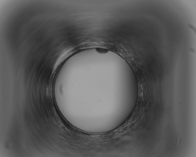 X0000091940004200709191429