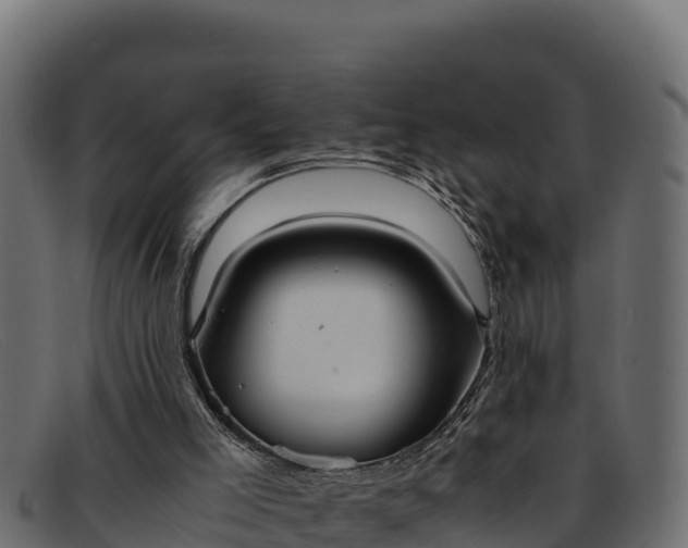 X0000091940005200709191429