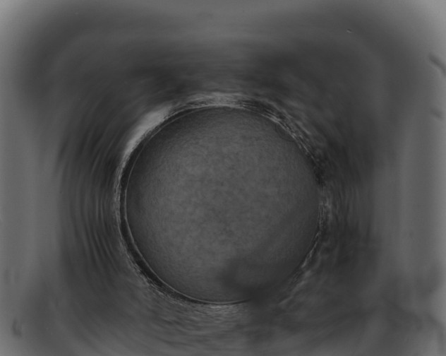 X0000091940006200709191429