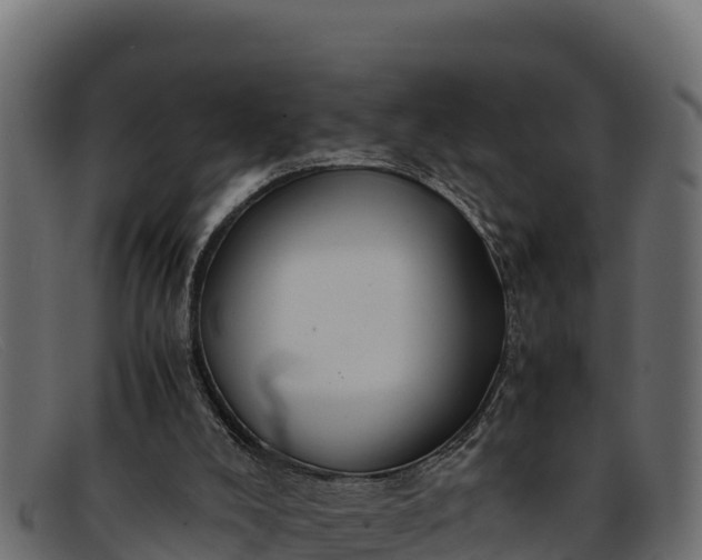 X0000091940008200709191429