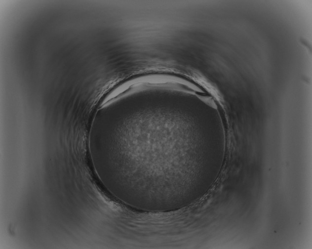 X0000091940009200709191429