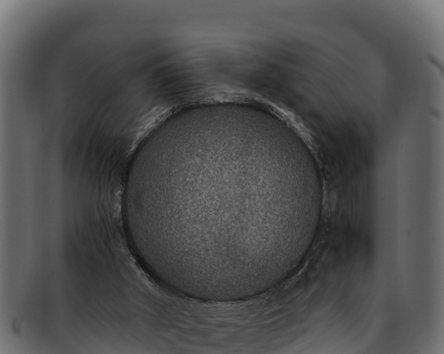 X0000091940010200709191429