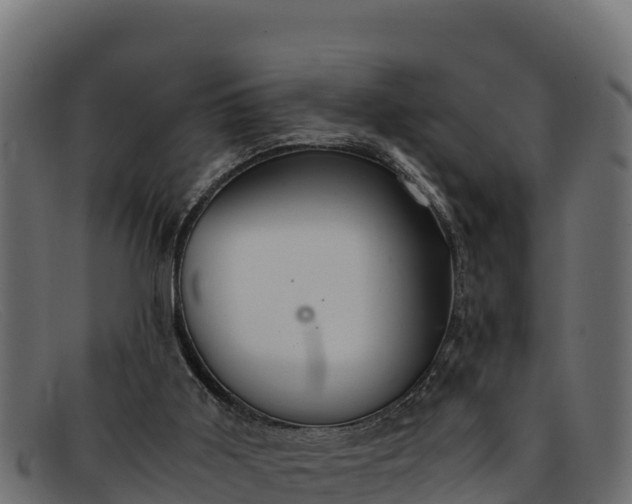 X0000091940011200709191429