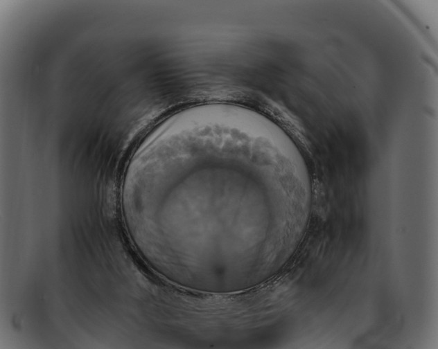 X0000091940012200709191429