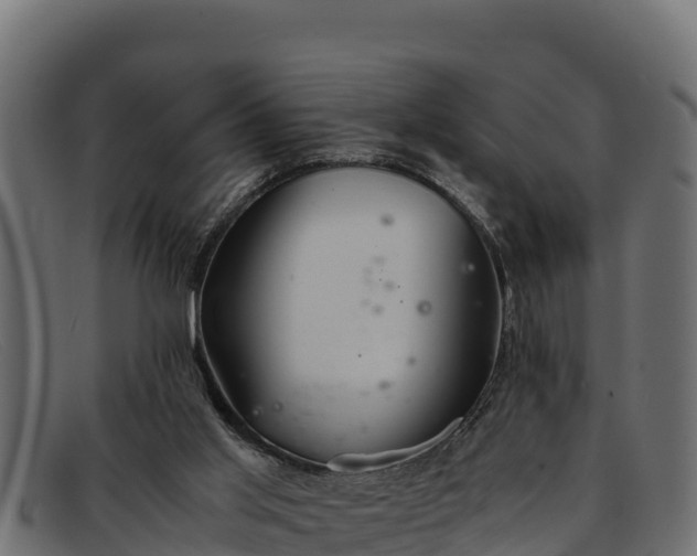 X0000091940013200709191429