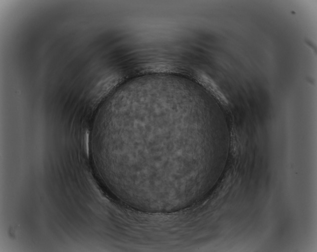 X0000091940014200709191429