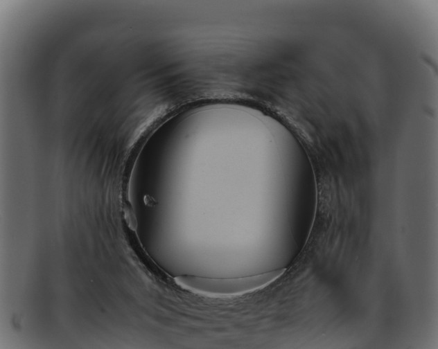 X0000091940015200709191429