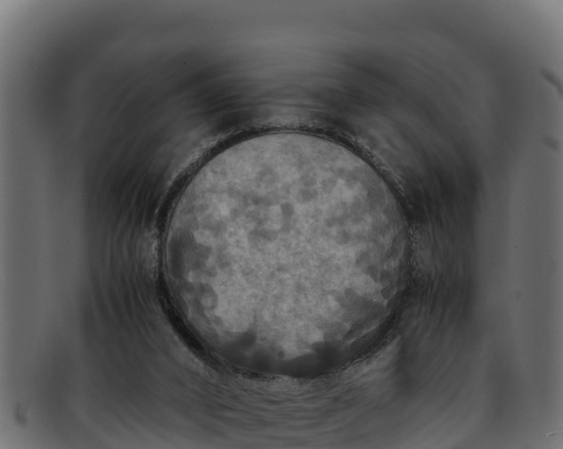 X0000091940016200709191428