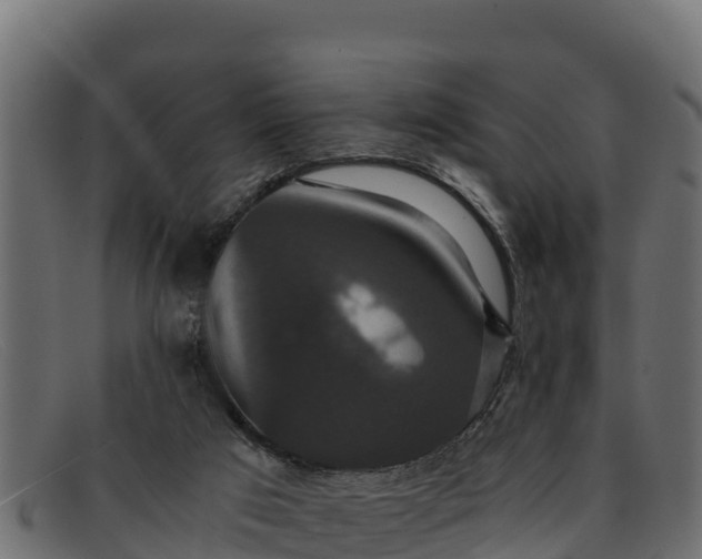 X0000091940017200709191428