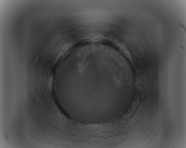 X0000091940018200709191428