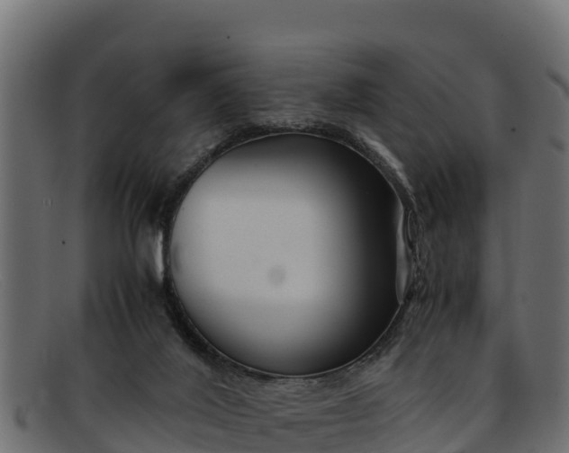 X0000091940020200709191428