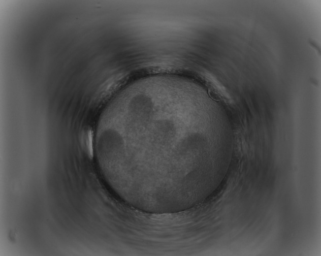 X0000091940022200709191428