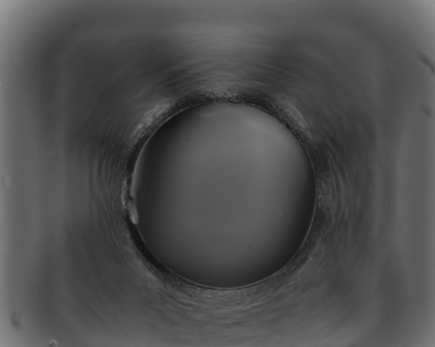 X0000091940023200709191428