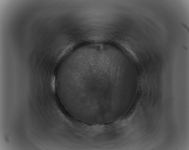 X0000091940024200709191428