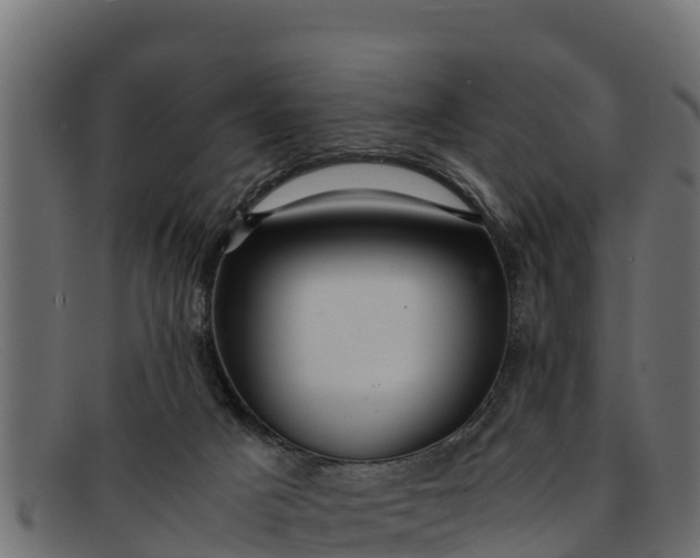 X0000091940025200709191428