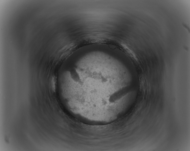 X0000091940026200709191428