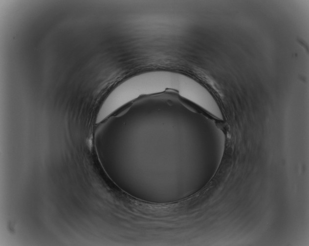 X0000091940027200709191428