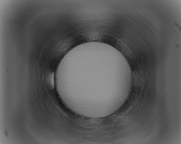 X0000091940028200709191428