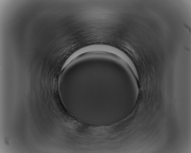 X0000091940029200709191428