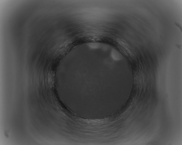 X0000091940030200709191428