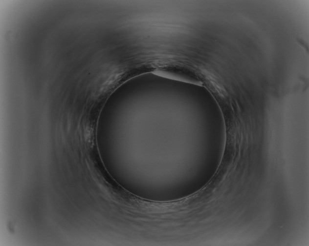 X0000091940031200709191428