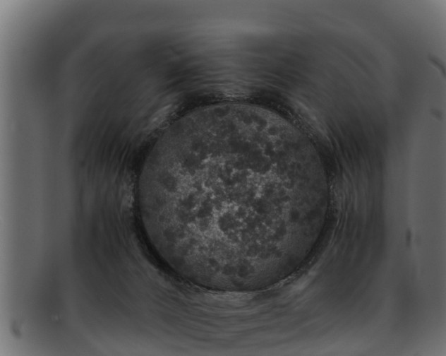 X0000091940032200709191428