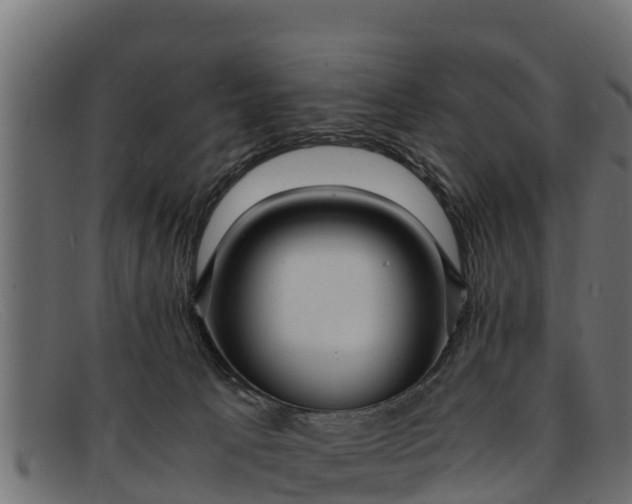 X0000091940033200709191428