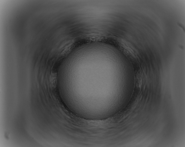 X0000091940034200709191428