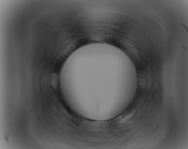 X0000091940036200709191428