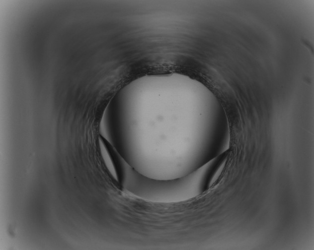 X0000091940037200709191428