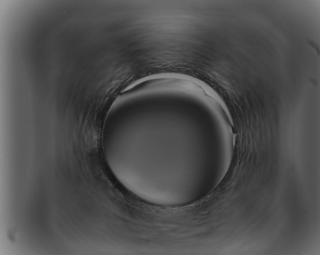 X0000091940039200709191428