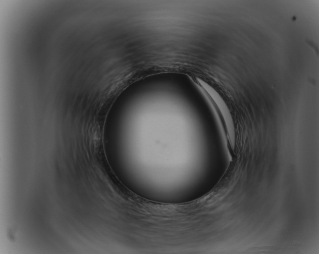 X0000091940040200709191428