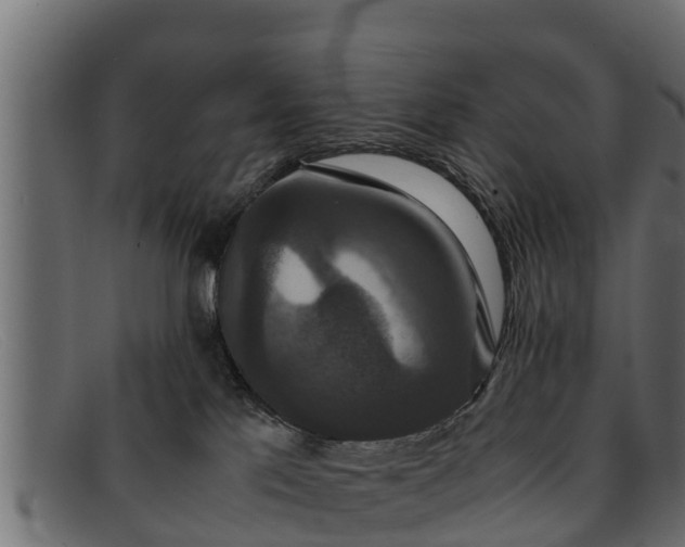 X0000091940041200709191428