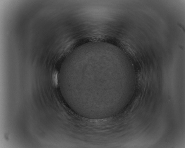 X0000091940042200709191428