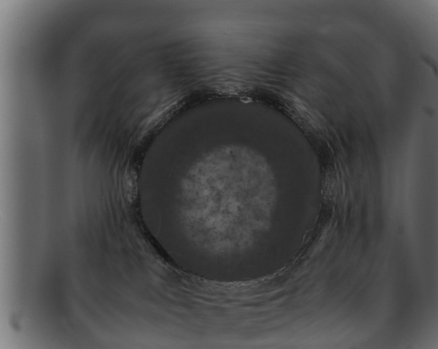 X0000091940043200709191428